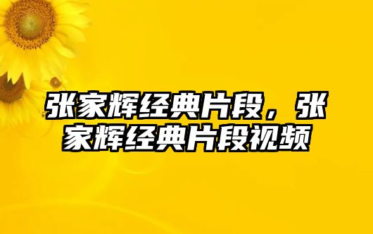 張家輝經(jīng)典片段，張家輝經(jīng)典片段視頻