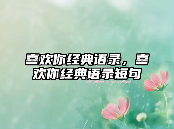 喜歡你經(jīng)典語錄，喜歡你經(jīng)典語錄短句
